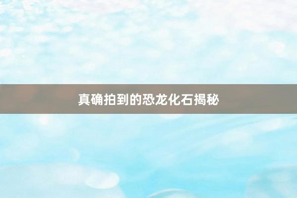 真确拍到的恐龙化石揭秘